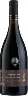 Binyamina Petite Sirah Sv 0 (750)